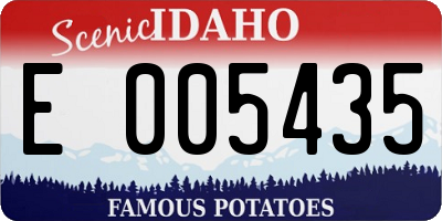 ID license plate E005435