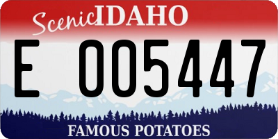 ID license plate E005447