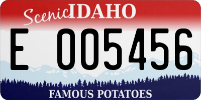 ID license plate E005456