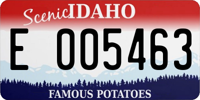 ID license plate E005463