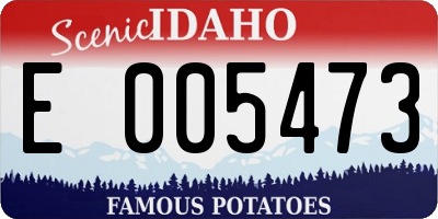 ID license plate E005473