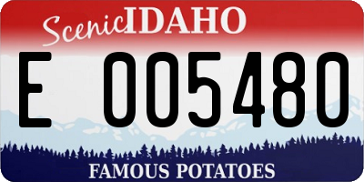 ID license plate E005480