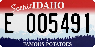 ID license plate E005491