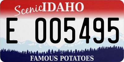 ID license plate E005495