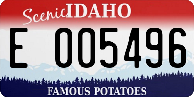 ID license plate E005496