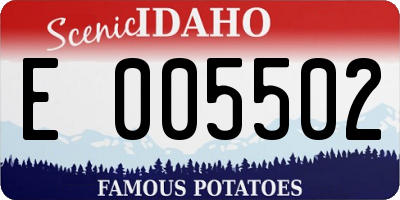 ID license plate E005502