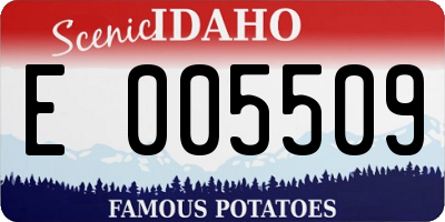 ID license plate E005509