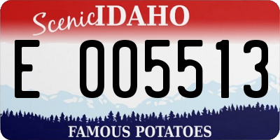 ID license plate E005513