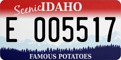 ID license plate E005517