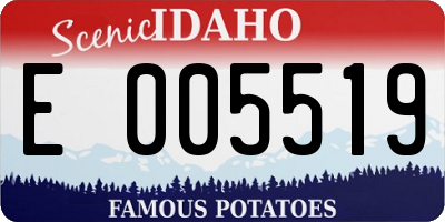 ID license plate E005519