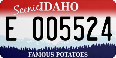 ID license plate E005524