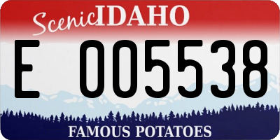 ID license plate E005538