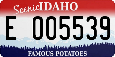 ID license plate E005539