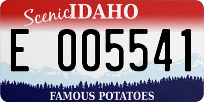 ID license plate E005541