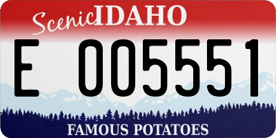 ID license plate E005551