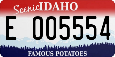 ID license plate E005554