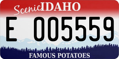 ID license plate E005559