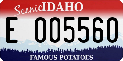 ID license plate E005560