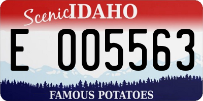 ID license plate E005563