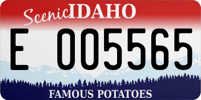 ID license plate E005565