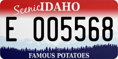 ID license plate E005568