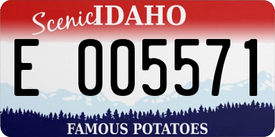 ID license plate E005571