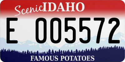 ID license plate E005572