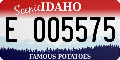 ID license plate E005575