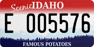 ID license plate E005576