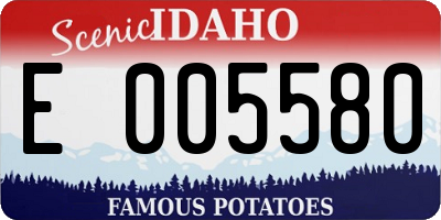 ID license plate E005580