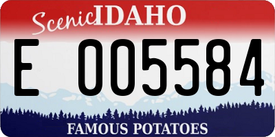 ID license plate E005584