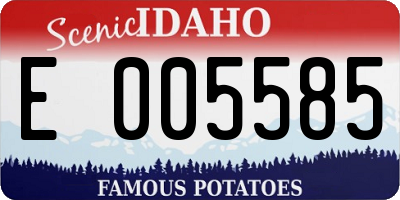 ID license plate E005585