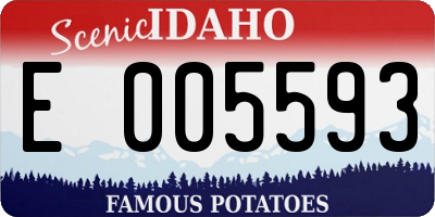 ID license plate E005593