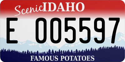 ID license plate E005597