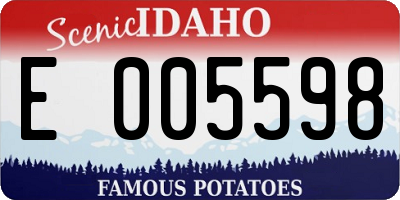 ID license plate E005598