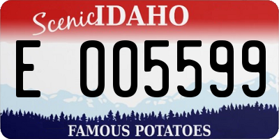 ID license plate E005599