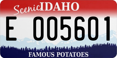 ID license plate E005601