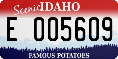 ID license plate E005609