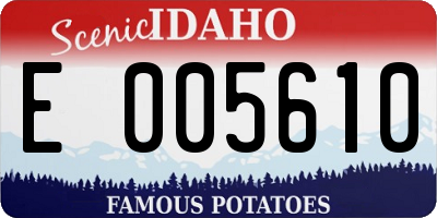 ID license plate E005610