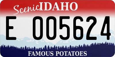 ID license plate E005624