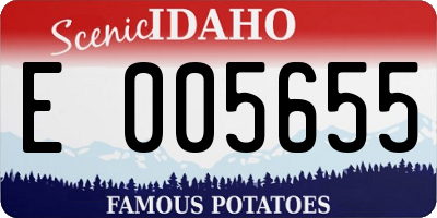 ID license plate E005655