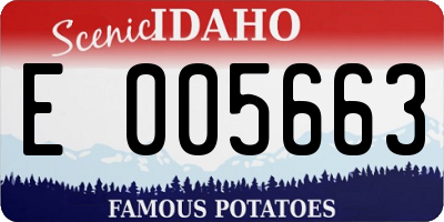 ID license plate E005663