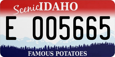 ID license plate E005665