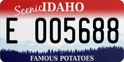 ID license plate E005688