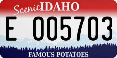 ID license plate E005703