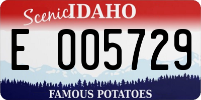 ID license plate E005729