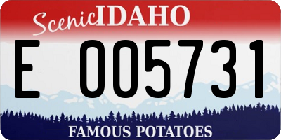 ID license plate E005731