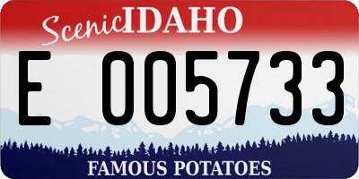 ID license plate E005733