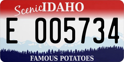ID license plate E005734
