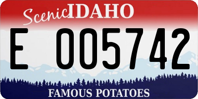 ID license plate E005742